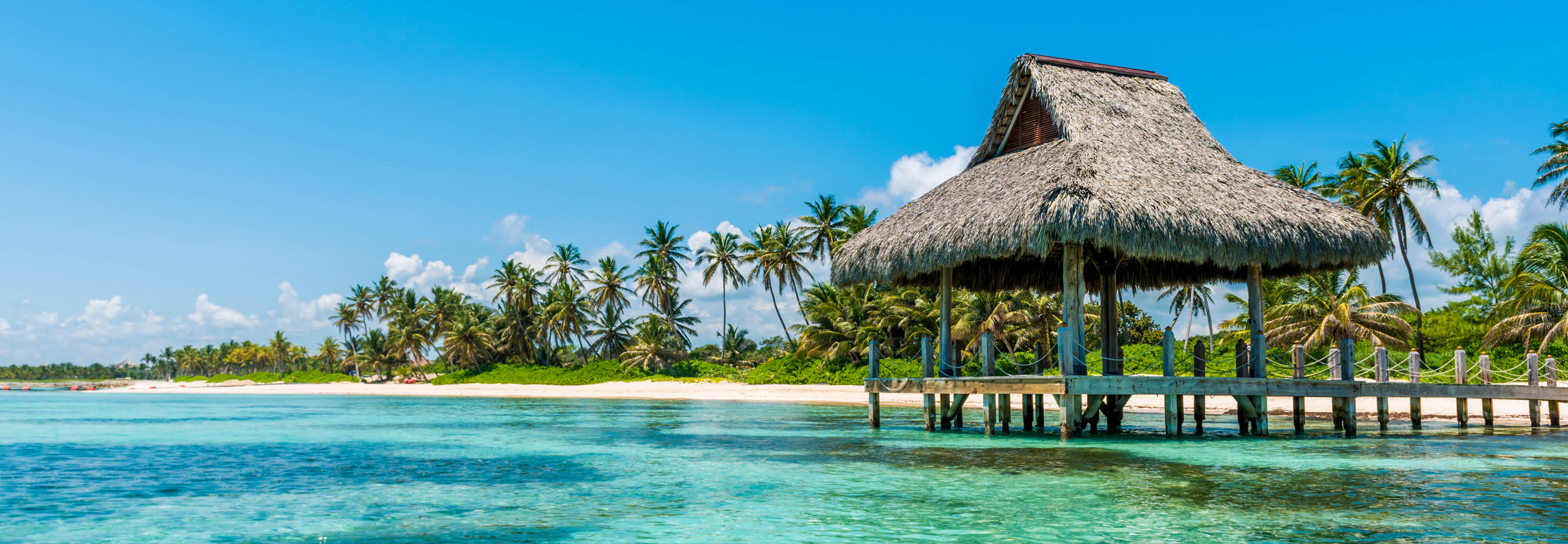 A serene beach scene in the Caribbean featuring a thatched hut surrounded by palm trees under a clear blue sky