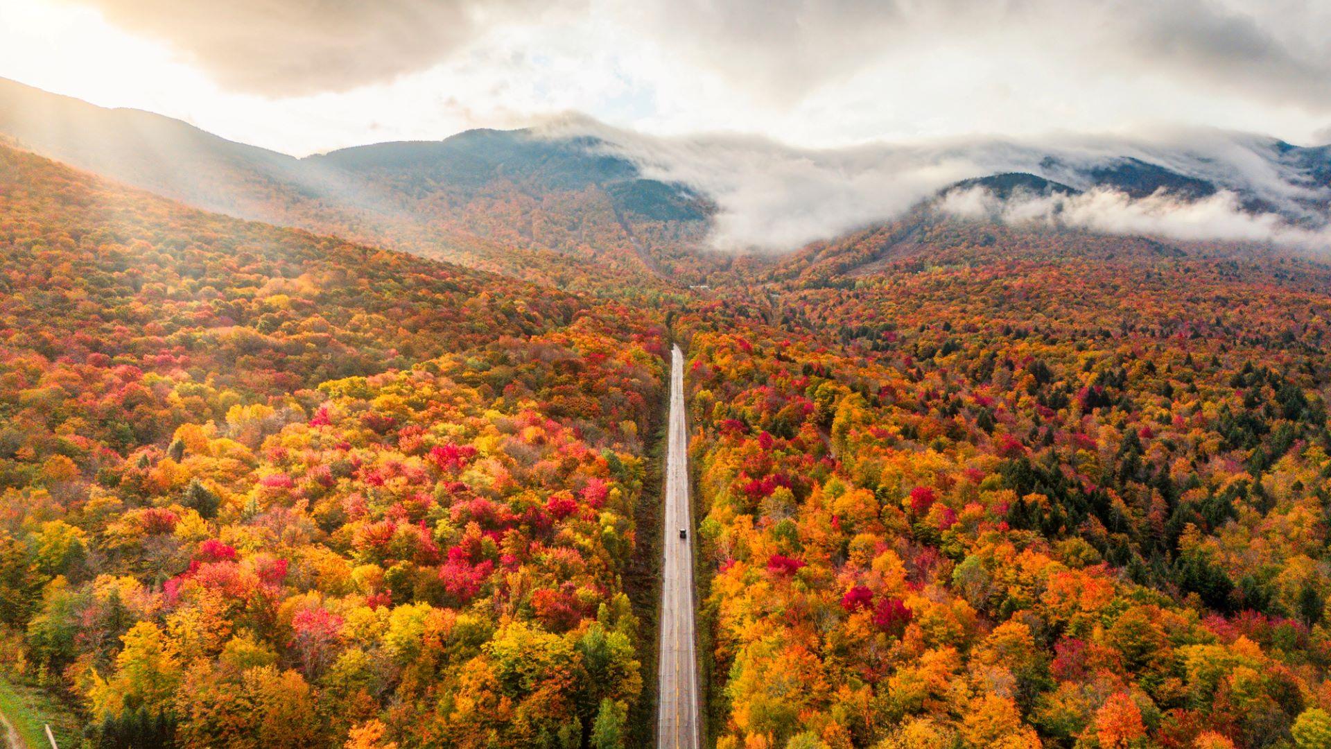 Scenic aerial view of forest in fall colors with road leading through mountains