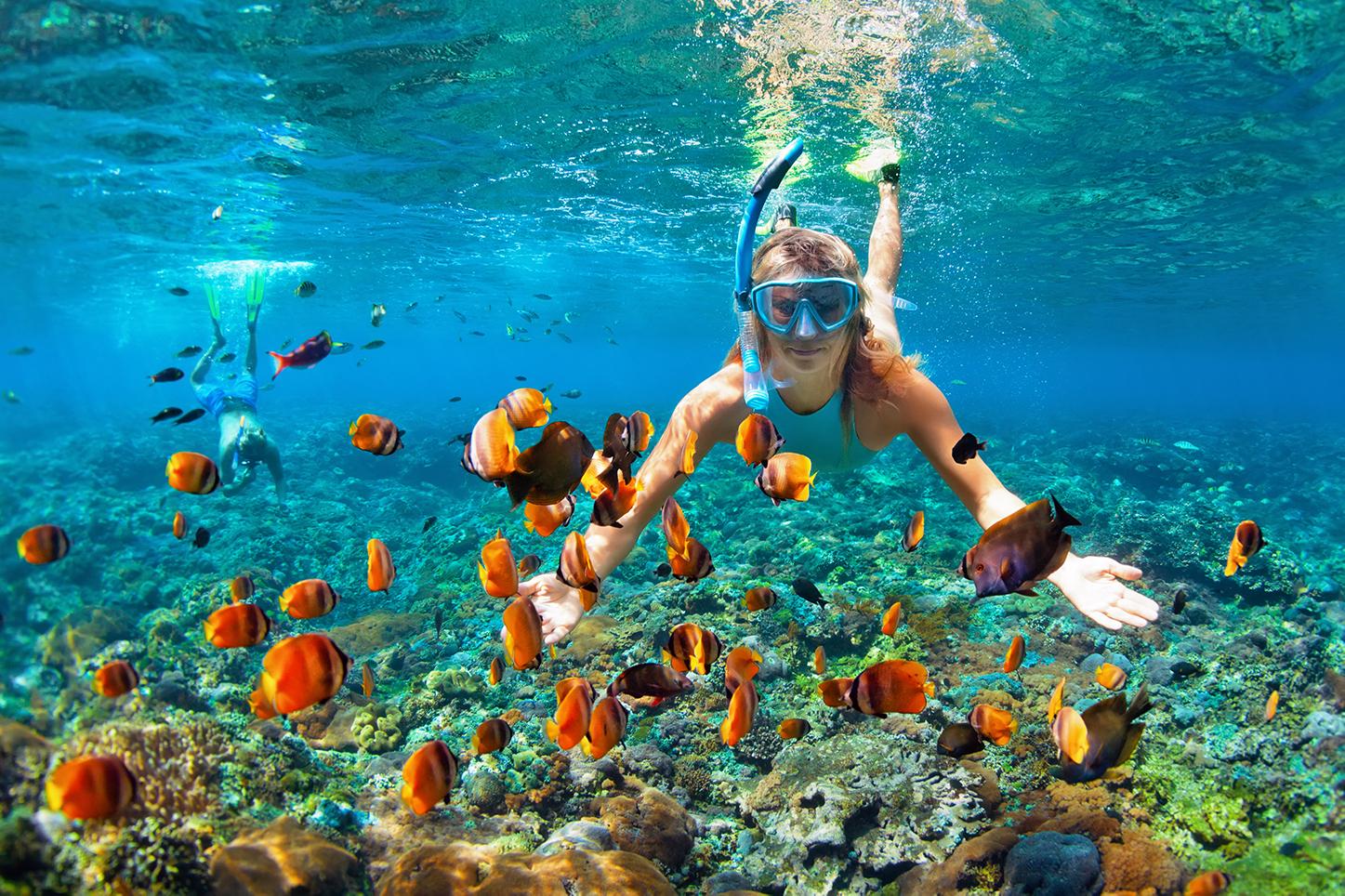 A woman snorkels in turquoise waters with orange fish all around her